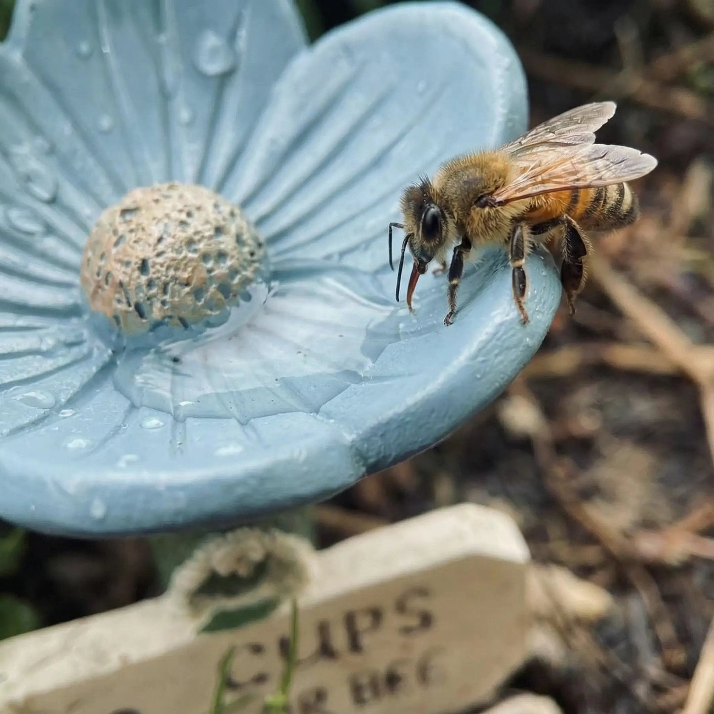 ⏳Zeitlich begrenzt 50 % Rabatt🐝Blumenförmige Bienen-Tränke💧
