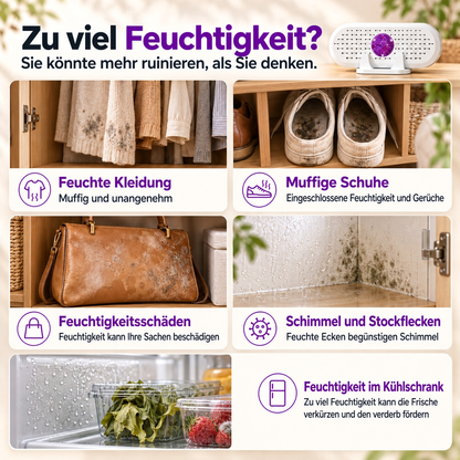 🔥 50% Rabatt  ⏰ Wiederverwendbarer Luftentfeuchter – Tragbarer Feuchtigkeitsabsorber für Zuhause, Kleiderschrank & Badezimmer