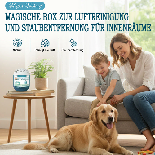 🏆 Indoor Luftreinigung Staub Entfernung Magic Box🌿✨ – Natürliche Luft & Staubfrei -Remifa®