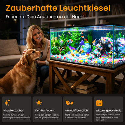 🔥1000 kaufen, 1000 gratis dazu🔥Leuchtende Steine für Garten- und Wohnkultur