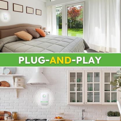 🥳HEISSER ANGEBOT 2026🥳💞Über 50.000 verkaufte Exemplare!🌟🏠 Blitzangebot: 50 % Rabatt! Sorgenfreie Stromversorgung für Ihr Zuhause. Schluss mit den versteckten Kosten durch instabile Stromversorgung!
