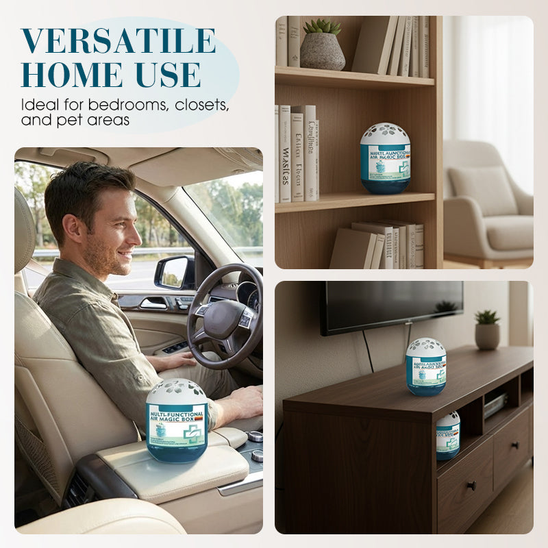 🏆 Indoor Luftreinigung Staub Entfernung Magic Box🌿 – Natürliche Luft & Staubfrei ✨ -Remifa®