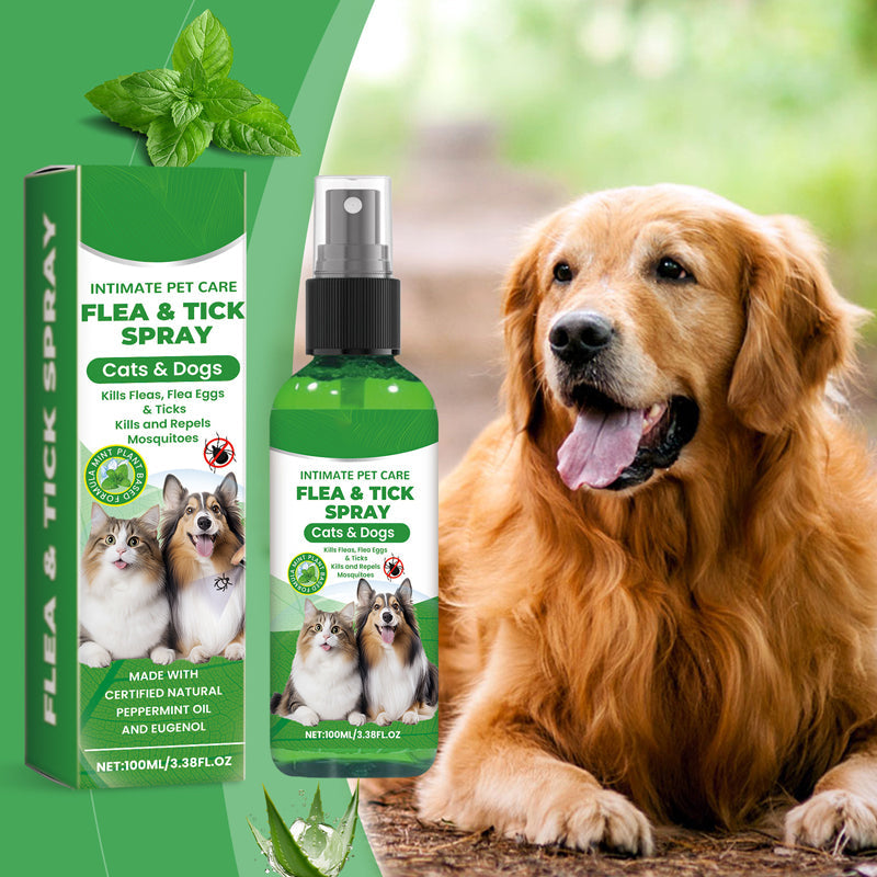 Natürliches Floh- und Zeckenspray für Hunde und Katzen 🐾 Schützen Sie Ihr geliebtes Haustier vor Schädlingen 🐾