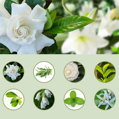 📢📢50 % RABATT! ⏰🎶Kabelloser Aroma-Diffusor mit Sandelholzduft – 4 Timer, leiser Betrieb & elegantes Dufterlebnis🌿💡